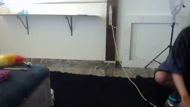 habdiela online show from 11.08.25