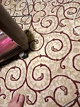 bullut06 online show from 04.08.26