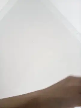 amelie sex online show from 11.14.25