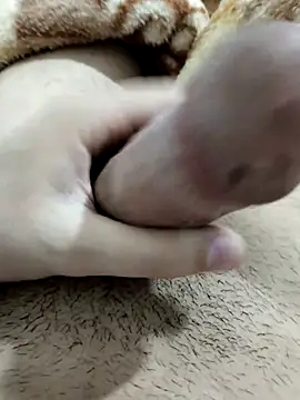 Zepe 12 online show from 02.13.26