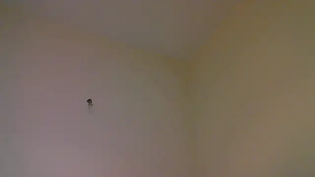 str8matesirishoz online show from 10.15.25