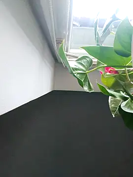 Snapshot of Czarnoksieznik chatting on 11.02.25 Czarnoksieznik online show from 11.02.25