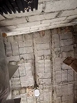 Aley 2025 online show from 01.08.26