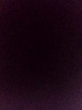 Snapshot of pajarics chatting on 01.12.26 pajarics online show from 01.12.26