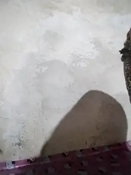 big booty15 online show from 10.05.25