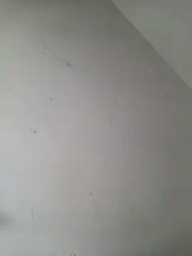 iamlalamilano online show from 03.29.26