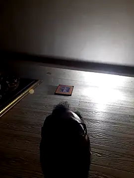 Snapshot of Hot-boy077 chatting on 02.04.26 Hot-boy077 online show from 02.04.26