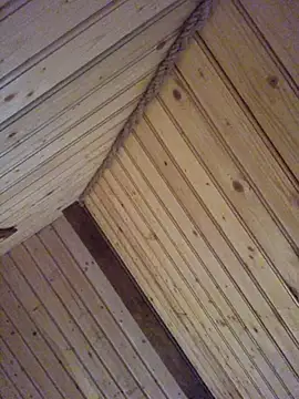 Anais Mariaa online show from 11.14.25