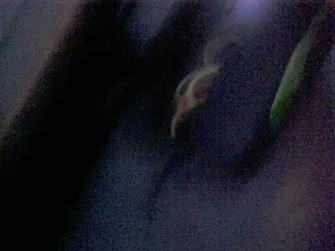 Dotadobelempa online show from 01.16.26