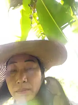 Lai005 online show from 10.30.25