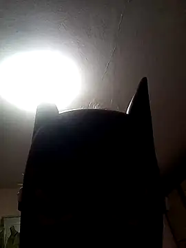 AmandaXXX98 online show from 11.17.25