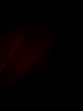 Fran-solo online show from 05.28.26