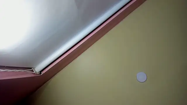 StarletTays online show from 11.28.25