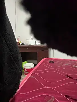 crhong666 online show from 12.16.25