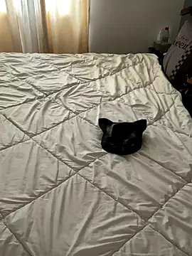 Snapshot of LesAmantsAE2 chatting on 10.11.25 LesAmantsAE2 online show from 10.11.25