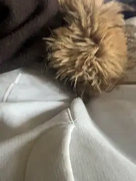 LesAmantsAE2 online show from 02.15.26