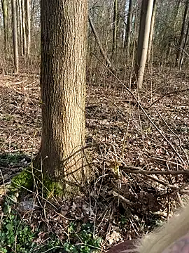 CoraDiamond online show from 03.08.26