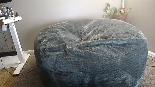 LeeCox online show from 01.04.25