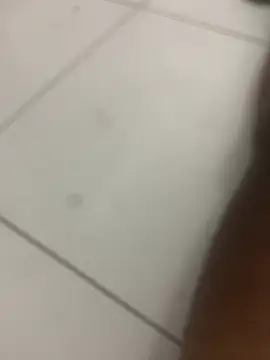 novin21rj online show from 04.07.26