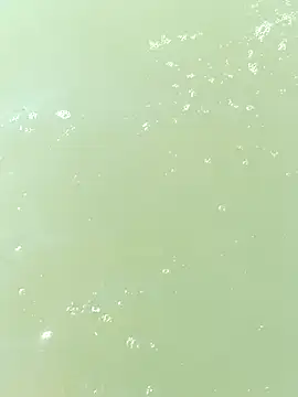 pegaso369 online show from 09.29.25