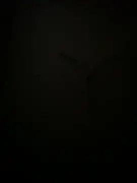 succy33 online show from 10.07.25