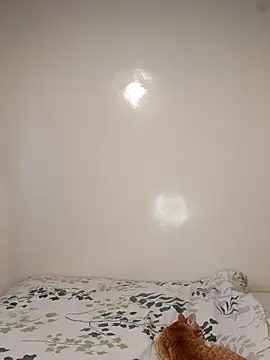 Nedambale online show from 02.03.26