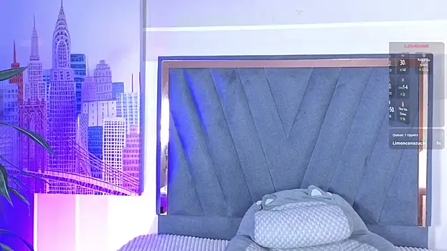 Snapshot of VelvetFox_ chatting on 05.24.26 VelvetFox online show from 05.24.26