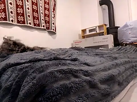 HoneySquirrel online show from 10.10.25