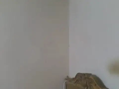 elpoop7305 online show from 07.19.26