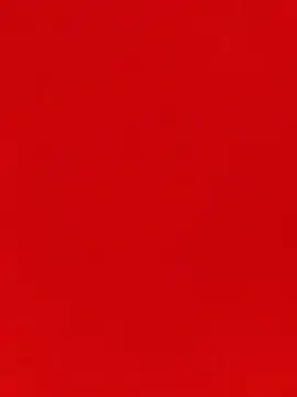 rani8008 online show from 11.27.25