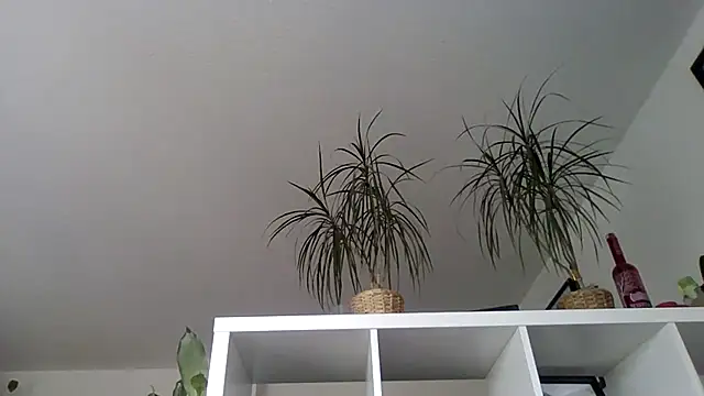 Snapshot of bigcockjohnxxxxx chatting on 11.13.25 bigcockjohnxxxxx online show from 11.13.25