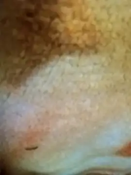 HOT-MUNDA online show from 12.17.25