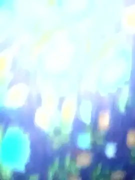 Juhi chawla online show from 12.20.25