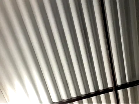 SexIngenieur online show from 02.07.26