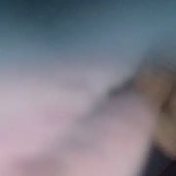 sarif-2 online show from 06.06.26