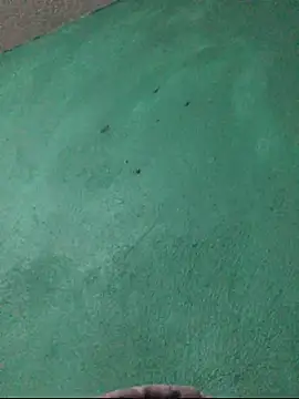 Snapshot of carlo20n chatting on 10.15.25 carlo20n online show from 10.15.25