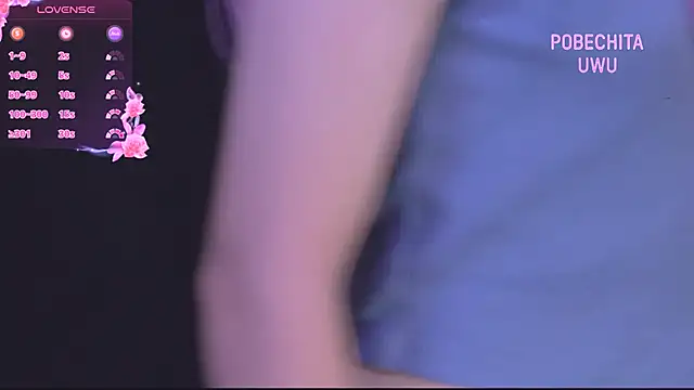 Pobechita online show from 11.12.25