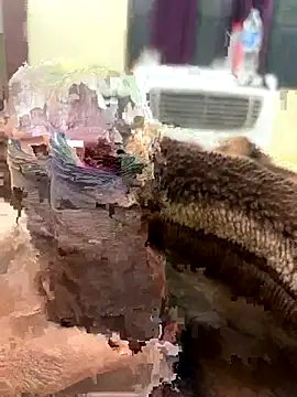 Snapshot of its_Surya_BBC chatting on 11.27.25 its Surya BBC online show from 11.27.25