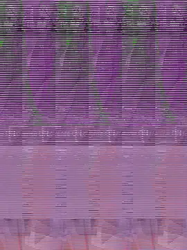 Snapshot of its_Surya_BBC chatting on 12.04.25 its Surya BBC online show from 12.04.25