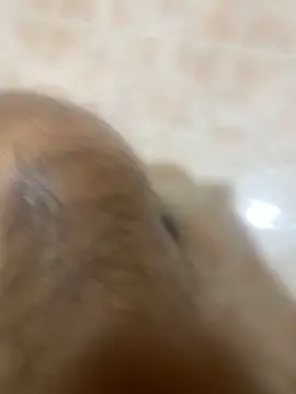 Snapshot of Binuthomas chatting on 11.24.25 Binuthomas online show from 11.24.25