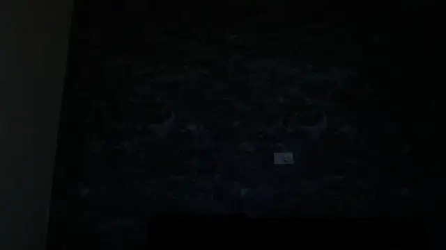 Snapshot of Crystal_Star_ chatting on 02.01.26 Crystal Star online show from 02.01.26