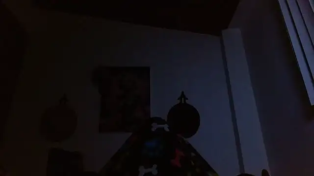 Snapshot of Crystal_Star_ chatting on 02.17.26 Crystal Star online show from 02.17.26