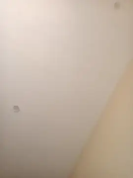 Snapshot of ElBufalo4l chatting on 11.04.25 ElBufalo4l online show from 11.04.25