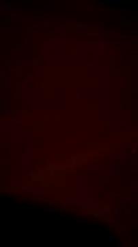 iWork4crypto online show from 11.14.25