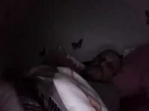 Hisnimin online show from 02.18.26