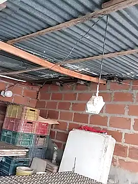 hoteder online show from 12.04.25