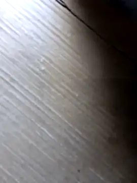 Snapshot of liza-212 chatting on 10.10.25 liza-212 online show from 10.10.25