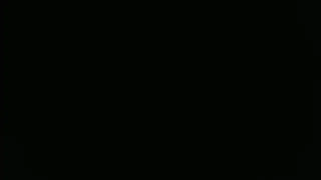 ParisAndVi online show from 11.11.25