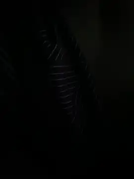 P E R V I T I N online show from 03.31.26