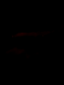 Snapshot of Marco0sss chatting on 02.08.26 Marco0sss online show from 02.08.26